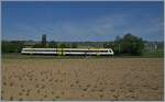 Ein DB 612 fährt bei Wilchingen Hallau durch das Klettgau.