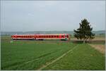 Der DB 628 287 ist im Klettgau als RB 31243 (Erzingen(Baden)-Schaffhausen) unterwegs und konnte zwischen Unterneuhaus und Neunkirch fotografiert werden.