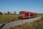 650 313-5 bei Lathkirch mit RB 96 nach Wangen am 23.10.2021.