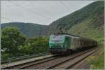 Die SNCF BB 37 015 mit einem langen Güterzug zwischen Kobern Gondorf und Winningen.