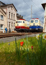   Frühling in Siegen und zwei wunderschöne alte Damen nebeneinander.....
