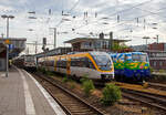 Der VT 3.10 der eurobahn, ein dreiteiliger diesel-mechanischer Bombardier Talent der Baureihe 643 verl�sst am 31.05.2022, als RB 67 „Der Warendorfer“ (M�nster – Warendorf –