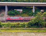   Die 155 016-9 (91 80 6155 016-9 D-CLR) der Cargo Logistik Rail-Service GmbH (Barleben) fährt am 30.07.2017 mit einem Güterzug auf der linken Rheinseite in Richtung Norden, hier ist sie