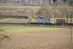 182 537-1 mit Containerzug bei Neu-Ulm Pfuhl am 01.03.2010.