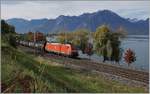 Zwar kann eine DB 185 mit der schönen  Novelis  189 kaum verglichen werden, doch bringt die DB Lok doch etwas Abwechslung an den Genfersee und bietet sich besonders im bunten Herbst als Fotosujet