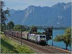 Auf der Suche nach einer einigermassen lichtverträglichen Fotostelle für eine der beiden MRCE  NOVELIS  189, stieß ich auf den Kilometer 28.4 der Simlonlinie bei Villeneuve und ich