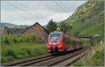 Im wundersch�en Mosel-Tal f�hrt ein  Hamster  bei Hatzenport Richtung Koblenz.