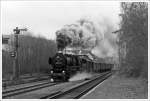 Herdorf Anno 1963 - Die Betzdorfer 52 8134-0 zieht mit m�chtiger Rauchfahne dem Mittagszug....