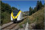 Der DB 1440 856 und ein weiterer sind von Endingen (Baden) nach Seebrugg unterwegs und erreicht die Haltestelle Altgashütten-Falkau, wo ich am Ende des Bahnsteiges dieses Bild gemacht habe.