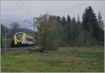 Noch ein weiteres Bild der beiden DB 1440 174 und 862, die als S 1 9618 von Seebrugg nach Breisach unterwegs sind.