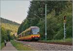 Ebenfalls auf dem Weg in Richtung Rastatt aber mit dem Ziel Karlsruhe ist dieser AVG 450 908 Triebwagen kurz nach Röt.