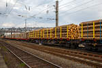 Holztransport im Siegerland:  Gewaltige Forstschäden an dem kompletten Fichtenbestand durch den Borkenkäfer sind in der Region zu beobachten.