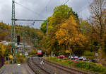 Am 16 Oktober 2025 gab es in Betzdorf/Sieg eine Weichenstörung, so hatte der gerade in den Bahnhof Kirchen/Sieg eingefahrene RE 9 - Rhein Sieg Express (RSX) Siegen - Köln – Aachen,