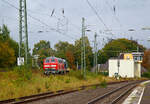 Die 218 191-5 (92 80 1218 191-5 D-MZE) der MZE - Manuel Zimmermann Eisenbahndienstleistungen, Hellenhahn-Schellenberg (Ww), ex DB 218 191-5, mit der  V 90 - 295 095-4 (98 80 3295 095-4 D-MZE) der