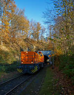 Die KSW 44 (92 80 1271 004-4 D-KSW), die MaK G 1000 BB der KSW (Kreisbahn Siegen-Wittgenstein), fährt am 11.11.2021 als Lz von Herdorf in Richtung Betzdorf (Sieg).