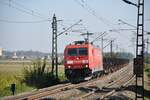 185 287-0 mit Rungenwagen-Ganzzug bei Neu-Ulm Pfuhl am 03.10.2013.