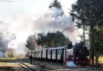 Nikolausdampf beim Öchsle, 99 788 in Maselheim am 06.12.2015.