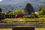 Mal ein ganz anderes Bahnbild, die 185 122-9 (91 80 61585 122-9 D-DB) DB Cargo AG fährt am 26.