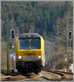 Wenn man im Begriff ist, Eidechsen an der Bahnstrecke zu fotografieren, gelingt einem nur eine Frontalansicht der 3005 in der N�he von Wilwerwiltz.