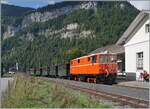 Nachdem bei der für den heutigen Tag vorgesehen Dampflok der BWB ein Defekt aufgetreten war, wurde in Bezau rasch die (ex) ÖBB 2095.13 aus dem Schuppen geholt, um dem Vormittagszug doch wie geplant fahren zu können. Ein perfektes Beispiel von Flexibilität! 
Das Bild zeigt die (ex) ÖBB 2095.13 mit ihrem  Dampf -Zug bei der Ankunft in Schwarzenberg. 
In der Zwischenzeit wurde in Bezau eine andere Dampflok angeheizt, so dass der Nachmittagszug mit Dampf geführt wurde.

15. Sept. 2024 