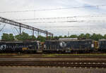 Aus einem IC heraus, steht in Rzepin (Reppen) 27 Juni 2017 vorne der Drehgestell-Flachwagen mit Drehrungen und Stirnwandklappen, 33 51 3852 050-5 PL-CTLL der Gattung Rgv 3129 der CTL Logistics und (leider) dahinter steht die ET21-106 / 3 140 063-1 (91 51 3 140 063-1) der CTL Logistics.

Die ET21-106 wurde 1963 PaFaWag in Wrocław (Breslau), ehemals Linke-Hofmann-Werke LHW,  unter der Fabriknummer 3E/1-224 gebaut und an die PKP Polskie Koleje Państwowe (deutsch Polnische Staatsbahnen) geliefert, 2005 ging sie dann an die CTL Rail.

Die CTL Logistics (vormals: Chem Trans Logistic Holding Polska S.A.) ist das größte private Eisenbahnunternehmens Polens und die Nr. 5 unter den privaten Anbietern in Europa.

Die Państwowa Fabryka Wagonów (deutsch wörtlich: Staatliche Waggonfabrik), kurz: PaFaWag, ist ein polnischer Hersteller von Schienenfahrzeugen in Wrocław (Breslau). Das Unternehmen wurde 1997 von Adtranz übernommen und gehört heute zu Alstom (vormals Bombardier Transportation). Die Pafawag ging nach dem Zweiten Weltkrieg aus dem Werk Breslau von Linke-Hofmann-Busch (LHB) hervor.

Nun zur ET21 Lokbaureihe:
Die Lokomotiven der Baureihe ET21 der Polnischen Staatsbahnen (PKP) bzw. ehemals sind Elektrolokomotiven für die Beförderung von Güterzügen. Bei PaFaWag erhielt sie die Typenbezeichnung 3E. 1955 wurde bei PaFaWag in Breslau mit der Konstruktion der ersten polnischen Elektrolokomotive für den Güterverkehr begonnen. Wie bei Güterzuglokomotiven üblich besitzt sie zwei dreiachsige Drehgestelle, bei denen alle Achsen angetrieben sind, und ein Getriebe mit einem Übersetzungsverhältnis von 85:24. Die Höchstgeschwindigkeit beträgt 100 km/h. Die Serienfertigung der Lokomotiven, die die PKP Baureihenbezeichnung ET21 erhielten, begann 1957.  Ab der Lokomotive ET21-70 (ab 1960) wurde das Dienstgewicht um 6,0 t verringert und die Typenbezeichnung in 3E/1 geändert. Insgesamt wurden bis 1971 658 Maschinen des Typs ET21 an die PKP geliefert.

Technische Beschreibung:
Der Hauptrahmen der Lokomotive wurde als Brückenrahmen in Schweißkonstruktion hergestellt und ist für eine dynamische Längsbeanspruchung von 2000 kN ausgelegt. Er besteht aus zwei Längsträgern, die mit mehreren Querträgern sowie den Pufferbohlen versteift sind. Auf ihm ist der Lokkasten gesetzt, der als Profilstahlgerippe mit Blech verkleidet ist. Drei Dachteile über dem Maschinenraum sind abnehmbar, die restlichen Dachteile sind mit dem Kastengerippe verschweißt. Der Maschinenraum besitzt einen Durchgang. Die Hochspannungskammer befindet sich in einem abgesperrten Raum in der Maschinenraummitte. Auch die Drehgestelle sind eine Schweißkonstruktion und sind untereinander mit Querkupplungen verbunden. Die Achslager sind über Gleitbacken im Drehgestellrahmen geführt und mit Schrauben- oder Blattfedern abgefedert. Das Laufwerk ist in Tatzlager-Bauweise mit zweiseitigem Antrieb ausgeführt, das Übersetzungsverhältnis beträgt 85:24. Die Lokbremse bremst alle Räder der Lok zweiseitig ab, die dafür benötigte Druckluft wird von zwei Luftverdichtern mit einer Förderleistung von 105 m³/h bei acht bar Nenndruck gefördert.

Als Stromabnehmer besitzt die Lokomotive die ursprünglichen Scherenstromabnehmer mit einfacher Schleifleiste. Daran schliesst sich ein Überspannungsableiter und der Hauptschalter an, der als Hochspannungs-Druckluft-Schnellschalter ausgeführt ist. Die Fahrmotoren, die als fremdbelüftete Reihenschlussmotoren ausgeführt sind, können in folgenden Schaltmöglichkeiten mit einer Widerstandssteuerung geschaltet werden:
alle sechs Motoren in Reihe;
je drei Motoren in Reihe, beide Gruppen in Parallelschaltung;
je zwei Motoren in Reihe, diese drei Gruppen parallel.

Dazu kommen noch für jede Schaltgruppe drei Feldschwächungsstufen mit einem Grad von 76, 60 und 50 %. Damit ergibt der Normalbetrieb zwölf Dauerfahrstufen. Bei einer Motorstörung konnte ein Betrieb nur in Reihenschaltung der unbeschädigten Motoren durchgeführt werden. Die beschädigten Fahrmotoren wurden mit einem Trenner abgeschaltet. Für die Fahrtrichtungsänderung ist eine Wendeschaltung vorhanden.

Je drei Fahrmotoren werden von einem Fahrmotorenlüfter gekühlt, die von je zwei Motoren angetrieben wird. Ein Fahrmotorlüfter kühlt zusätzlich die Widerstände der Steuerung. Ein Generator speiste die Steuerstromkreise und die Lichtanlage der Lokomotive, die Lokomotiv- und Zugheizung wird mit 3 kV vorgenommen. In der Lokomotive sind je Führerstand drei Heizkörper mit 1 kV Heizspannung vorhanden.

TECHNISCHE DATEN:
Hersteller: PaFaWag in Wrocław (Breslau)
Gebaute Stückzahl: 658 für PKP (Gesamt 726)
Baujahre: 1957 bis1971
Spurweite: 1.435 mm
Achsfolge: Co’Co’
Länge über Puffer:16.820 mm
Gesamtradstand: 12.000 mm
Triebraddurchmesser: 1.250 mm
Breite: 3.005 mm
Höhe: 4.620 mm
Dienstgewicht: 120 t (Typ 3E) / 114 t (Typ 3E/1)
Fahrmotoren 6 Stück vom Typ LKa634 (Typ 3E) / LKb635 (Typ 3E/1)
Antrieb: Tatzlager
Stundenleistung: 2.400 kW (3.260 PS)
Dauerleistung: 2.040 kW (.2772 PS)
Anfahrzugkraft: 258 kN
Dauerzugkraft: 146 kN
Höchstgeschwindigkeit: 100km/h
Getriebeübersetzung: 85:24
Stromsystem: 3 kV DC (=)
