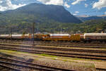 Der Kran IX der Vanomag AG ein 130t GOTTWALD GS 130.10 TS Eisenbahnkran (VTmass 80 85 95 81 702-0 /DB 97 82 54 502 19-5) mit Schutzwagen (80 85 9706 408-4 RID) und Gegengewichtswagen (VTmass 80 85 9806 412-5 Rgs), am 11 Juli 2022 abgestellt in Brig, aufgenommen aus einem fahrenden ICN.

Der Kran wurde 2001 von Gottwald in Düsseldorf unter der Fabriknummer 846 488 gebaut.

Der GS 130.06 TT ist eine Weiterentwicklung des GS 80.08 T. Folgende Verbesserungen wurden vorgenommen, die den Einsatzbereich des Kranes nochmals erweitern: Der Einsatz eines dreiteiligen Auslegers ermöglicht eine wesentliche Erweiterung des Arbeitsbereiches. Durch die kürzere Bauform des Auslegers beginnt der verfügbare Bereich horizontal bereits 3,0 m vor Puffer mit einer Tragfähigkeit von 98,0 t (freistehend 78,0 t). Damit ist er der einzige am Markt verfügbare Gleisbau-Drehkran, der diese, gerade für den Brückenbau, wesentliche Fähigkeit besitzt.

TECHNISCHE DATEN:
Spurweite: 1.435 mm
Anzahl der Achsen: 8 (in 4 Drehgestelle bzw. 2 Doppeldrehgestelle)
Unterwagenlänge über Puffer: 14.000 mm
Breite in Transportstellung: 3.100 mm
Höhe in Transportstellung: 4.250 mm
Drehzapfenabstand: 9.000 mm
Laufkreisdurchmesser der Räder: 730 mm (neu)
Gesamtgewicht  in Transportstellung:116 t (Gegengewicht abgelegt)
Größter Achsdruck in Transportstellung: 14,5 t
Schwenkwinkel des Oberwagens: 30° 
Max. hintere seitlich Ausladung: 2.000 mm
Maximale Ausladung vor Puffer : 18 m
Kleinster befahrbarer Bogenradius: 90 m
Höchstgeschwindigkeit: 25 km/h (eigen) / 100 km/h (geschleppt)

Die Überhöhungsausgleich-Einrichtung stellt den Kran immer waagerecht. Diese neuartige elektro-hydraulische Steuerung arbeitet in Überhöhungen bis zu 180 mm. Somit entfällt die Reduzierung der frei stehenden Tragfähigkeiten.
