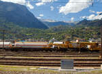 Der Kran IX der Vanomag AG ein 130t GOTTWALD GS 130.10 TS Eisenbahnkran (VTmass 80 85 95 81 702-0 /DB 97 82 54 502 19-5) mit Schutzwagen (80 85 9706 408-4 RID) und Gegengewichtswagen (VTmass 80 85 9806 412-5 Rgs), am 11 Juli 2022 abgestellt in Brig, aufgenommen aus einem fahrenden ICN.

Der Kran wurde 2001 von Gottwald in Düsseldorf unter der Fabriknummer 846 488 gebaut.

Der GS 130.06 TT ist eine Weiterentwicklung des GS 80.08 T. Folgende Verbesserungen wurden vorgenommen, die den Einsatzbereich des Kranes nochmals erweitern: Der Einsatz eines dreiteiligen Auslegers ermöglicht eine wesentliche Erweiterung des Arbeitsbereiches. Durch die kürzere Bauform des Auslegers beginnt der verfügbare Bereich horizontal bereits 3,0 m vor Puffer mit einer Tragfähigkeit von 98,0 t (freistehend 78,0 t). Damit ist er der einzige am Markt verfügbare Gleisbau-Drehkran, der diese, gerade für den Brückenbau, wesentliche Fähigkeit besitzt.

TECHNISCHE DATEN:
Spurweite: 1.435 mm
Anzahl der Achsen: 8 (in 4 Drehgestelle bzw. 2 Doppeldrehgestelle)
Unterwagenlänge über Puffer: 14.000 mm
Breite in Transportstellung: 3.100 mm
Höhe in Transportstellung: 4.250 mm
Drehzapfenabstand: 9.000 mm
Laufkreisdurchmesser der Räder: 730 mm (neu)
Gesamtgewicht  in Transportstellung:116 t (Gegengewicht abgelegt)
Größter Achsdruck in Transportstellung: 14,5 t
Schwenkwinkel des Oberwagens: 30° 
Max. hintere seitlich Ausladung: 2.000 mm
Maximale Ausladung vor Puffer : 18 m
Kleinster befahrbarer Bogenradius: 90 m
Höchstgeschwindigkeit: 25 km/h (eigen) / 100 km/h (geschleppt)

Die Überhöhungsausgleich-Einrichtung stellt den Kran immer waagerecht. Diese neuartige elektro-hydraulische Steuerung arbeitet in Überhöhungen bis zu 180 mm. Somit entfällt die Reduzierung der frei stehenden Tragfähigkeiten.
