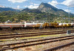 Der Kran IX der Vanomag AG ein 130t GOTTWALD GS 130.10 TS Eisenbahnkran (VTmass 80 85 95 81 702-0 /DB 97 82 54 502 19-5) mit Schutzwagen (80 85 9706 408-4 RID) und Gegengewichtswagen (VTmass 80 85 9806 412-5 Rgs), am 11 Juli 2022 abgestellt in Brig, aufgenommen aus einem fahrenden ICN.

Der Kran wurde 2001 von Gottwald in Düsseldorf unter der Fabriknummer 846 488 gebaut.

Der GS 130.06 TT ist eine Weiterentwicklung des GS 80.08 T. Folgende Verbesserungen wurden vorgenommen, die den Einsatzbereich des Kranes nochmals erweitern: Der Einsatz eines dreiteiligen Auslegers ermöglicht eine wesentliche Erweiterung des Arbeitsbereiches. Durch die kürzere Bauform des Auslegers beginnt der verfügbare Bereich horizontal bereits 3,0 m vor Puffer mit einer Tragfähigkeit von 98,0 t (freistehend 78,0 t). Damit ist er der einzige am Markt verfügbare Gleisbau-Drehkran, der diese, gerade für den Brückenbau, wesentliche Fähigkeit besitzt.

TECHNISCHE DATEN:
Spurweite: 1.435 mm
Anzahl der Achsen: 8 (in 4 Drehgestelle bzw. 2 Doppeldrehgestelle)
Unterwagenlänge über Puffer: 14.000 mm
Breite in Transportstellung: 3.100 mm
Höhe in Transportstellung: 4.250 mm
Drehzapfenabstand: 9.000 mm
Laufkreisdurchmesser der Räder: 730 mm (neu)
Gesamtgewicht  in Transportstellung:116 t (Gegengewicht abgelegt)
Größter Achsdruck in Transportstellung: 14,5 t
Schwenkwinkel des Oberwagens: 30° 
Max. hintere seitlich Ausladung: 2.000 mm
Maximale Ausladung vor Puffer : 18 m
Kleinster befahrbarer Bogenradius: 90 m
Höchstgeschwindigkeit: 25 km/h (eigen) / 100 km/h (geschleppt)

Die Überhöhungsausgleich-Einrichtung stellt den Kran immer waagerecht. Diese neuartige elektro-hydraulische Steuerung arbeitet in Überhöhungen bis zu 180 mm. Somit entfällt die Reduzierung der frei stehenden Tragfähigkeiten.
