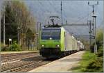 Als ich in Varzo auf Gleis drei auf meine Zug wartet, kamen �berraschend die beiden BLS Re 485 mit einer RoLa.