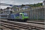 Die BLS Re 485 erreicht von Frutigen kommend den Bahnhof Spiez, wo die Lok in der Folge abgestellt wird, da durch die baubedinget Streckensperrung Iselle  - Domo der Tranistgüterverkehr vom 9. - 31.8 ruhen wird. 

8. Aug. 2024 
