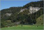 Ein BLS RABe 535  Lötschberger  und RABe 525  NINA  haben das Emmental verlassen und fahren nun durchs Entlebuch in Richtung Wolhusen.