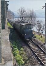 Sozusagen als Ergänzung der Bildern von gestern: bei Muralto (Strecke Locarno - Bellinzona)  schiebt die Ae 4/7 10957 den Dampf-Extrazug nach.