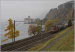 Nebel, an der Riviera eher selten, zeigt, dass es Herbst geworden ist, als die SBB Re 420 248-7 mit ihrem farblosen Schweizer Wappen beim Château de Chillon mit einem Güterzug dem Wallis zu