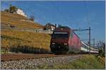 Die fast  weinrote  SBB Re 460 089-6 mit einem IR kurz vor Lutry.