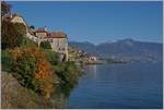 Ein Blick in die Ferne bei Rivaz lässt eine Re 460 mit einem IR auf der Fahrt Richtung Genève entdecken.