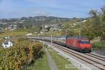 2020-10-19, SBB CFF FFS Bossière VD  locomotive électrique Re 460 035    © la photo vous intéresse merci de me contacter  photos-vietti-violi@ik.me   