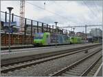 Über die Geleise und als Nachschuss zeigt das Bild die als Lokzug in Renens VD vorbeifahrenden BLS Re 465 006 und Re 485 003.

28. Januar 2025