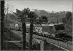 Eine S/W Version der SBB Re 474 015 bei Magadino.