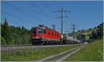 Die SBB Re 6/6 11666 / Re 620 066-1  Stein am Rhein  mit einem Güterzug bei Mülenen.
