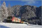 Pünktlich zum (metrologischen) Winteranfang hat es geschneit und der Schnee ist zumindest in der Höhe nicht gleich wieder weggeschmolzen, so dass ich die MOB GDe 4/4 6006  Aigle les