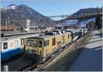 An anderen Ende des Zuges und nicht ganz einfach zu fotografieren zeigt sich die GDe 4/4 6003.