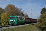 Die Ge 4/4 21 mit einem vollen Zucker�benzug bei Reverolle.