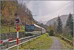Kurz nach Gstaad erklimmt die MOB Ge 4/4 8002 mit ihrem GoldenPass Express auf der Fahrt von Montreux nach Interlaken die Steigung in Richtung Schönried und wird unmittelbar nach dieser Aufnahme