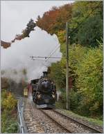 La Dernière du Blonay - Chamby - das 50.