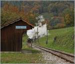 Dampf und Rauch ist hier das Motiv: Die Blonay-Chamby G 2x 2/2 105 arbeitet kräftig, um ihren Dampfzug bei Cornaux die beträchtliche Steigung hinaufzuziehen.