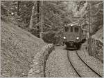 Die Strecke der Blonay-Chamby Bahn ist mit gut drei Kilometer nicht sehr lang, und doch bietet sie unz�hlige Fotomotive, wie z.B hier kurz vor der Baie de Clarens Br�cke im Wald oberhalb von Blonay