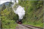  Nostalgie & Vapeur 2021  /  Nostalgie & Dampf 2021  - so das Thema des diesjährigen Pfingstfestivals der Blonay-Chamby Bahn.