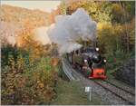 Das Baye de Clarens Viadukt ist sicherlich der Höhepunkt feiner Fahrt mit der Museumsbahn Blonay-Chamby, aber mir gefällt der darauf folgende Abschnitt in der Baye de Clarens Schlucht auch