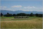 Der BAM BCFe 4/4 N� 2 auf der Fahrt von Morges nach Apples kurz vor Vufflens le Ch�teau.