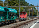 Nun übernimmt die BAM MBC Te III 155 (97 85 1212 055-8 CH-MBC) im Bahnhof Morges am 07 September 2023 den Aushubzug/Kieszug von Gland - Morges (- Apples). Für den Weitertransport nach Apples müssen die normalspurigen Drehgestell-Schüttgutwagen nun auf die Rollbockgrube um auf meterspurige Rollböcke verladen werden.

Der Te 2/2 III - 1965 von SLM (Schweizerische Lokomotiv- und Maschinenfabrik) unter der Fabriknummer 4538 gebaut, der elektrische Teil ist von MFO (Maschinenfabrik Oerlikon).

Im Jahr 1965 lieferten die SLM und MFO insgesamt 41 dieser Te 2/2 Rangiertraktoren der Leistungsklasse III an die SBB. Sie waren für den Einsatz an größeren Stationen mit hauptsächlich elektrifizierten Anschlussgleisen vorgesehen. Gegenüber den Te III mit Kuppelstangenantrieb aus den 1940er Jahren hatten diese nun Einzelachsantriebe. 

Im Jahre 2006 kaufte die MBC für die Rollbockmanöver im Bahnhof Morges von den SBB die beiden normalspurigen Rangiertraktoren Te III 147 und 155. Diese wurden notwendig, nachdem SBB Cargo das Rangierteam aus Morges abzog. 

TECHNISCHE DATEN:
Spurweite: 1.435 mm (Normalspur)
Achsfolge: B
Länge über Puffer: 6.640 mm
Leistung: 245 kW / 333 PS
Gewicht: 28 t
Höchstgeschwindigkeit: 60 km/h (geschleppt 65 km/h)
Stromsysteme: 15 kV 16.7 Hz